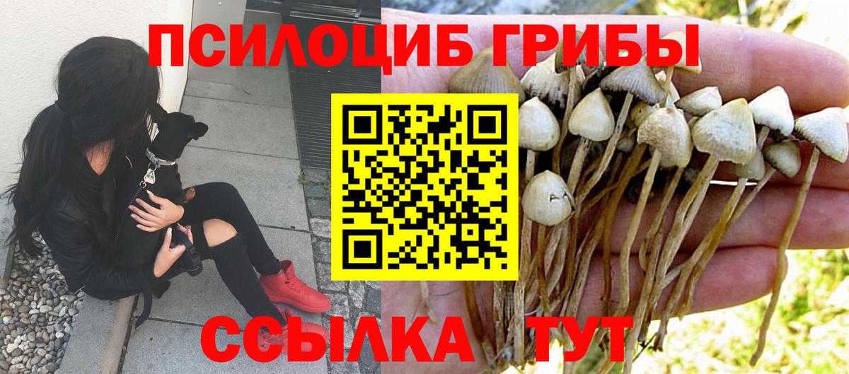 Галлюциногенные грибы MAGIC MUSHROOMS Фрязино